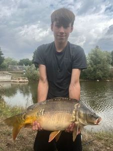 Mirror Carp