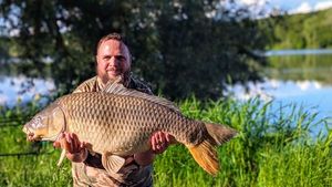Common Carp