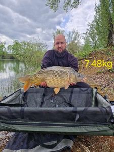 Common Carp
