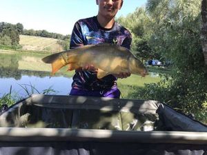 Mirror Carp