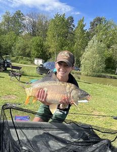 Mirror Carp