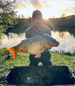 Mirror Carp