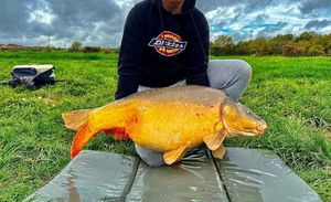 Leather Carp