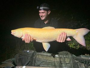 Grass Carp