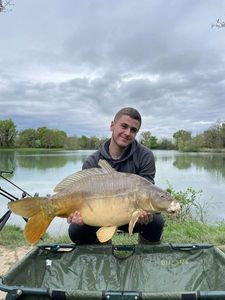 Mirror Carp