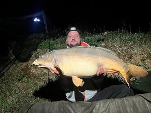 Mirror Carp