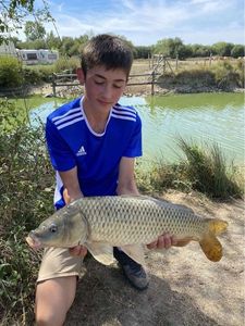 Common Carp