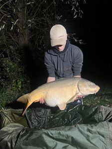Mirror Carp