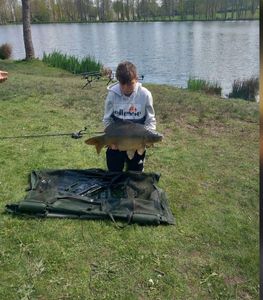 Mirror Carp