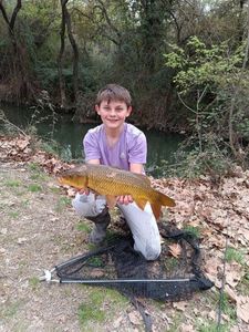 Common Carp