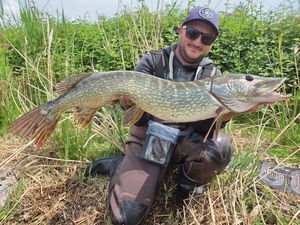 Northern Pike