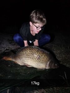 Common Carp