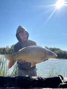 Mirror Carp