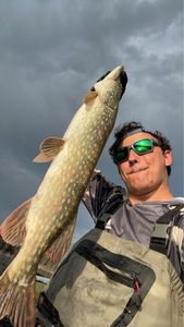 Northern Pike