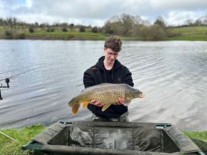 Common Carp