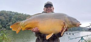 Mirror Carp
