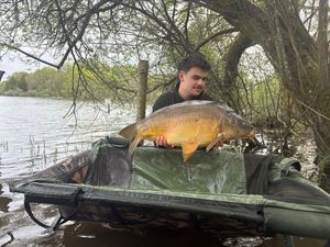 Mirror Carp