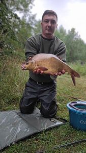 Common Bream