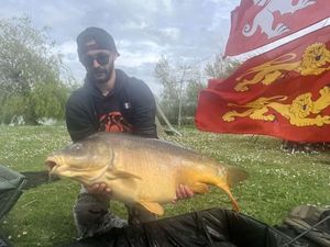 Mirror Carp