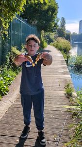 European Perch