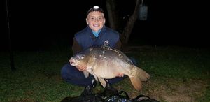 Mirror Carp