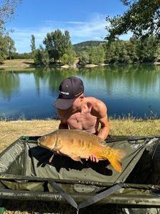 Mirror Carp