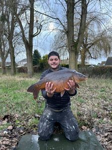 Mirror Carp