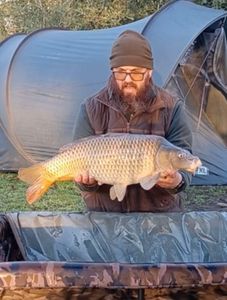 Common Carp