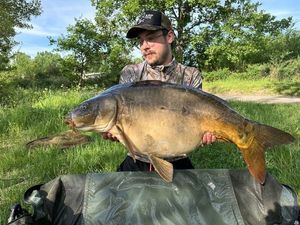 Mirror Carp