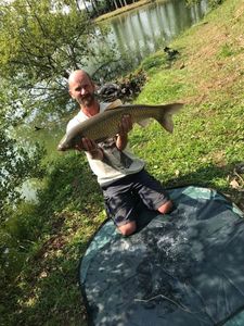 Grass Carp