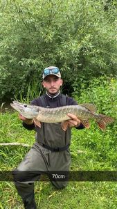 Northern Pike