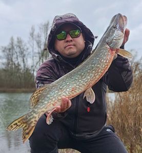 Northern Pike