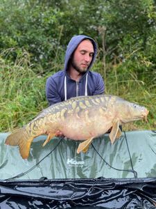 Mirror Carp