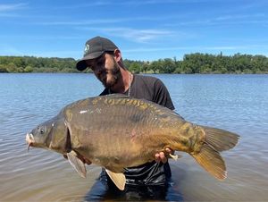 Mirror Carp