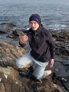 European Bass (Seabass)