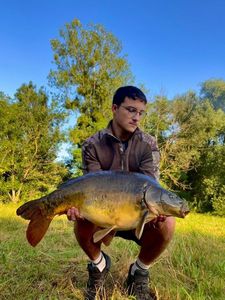 Mirror Carp
