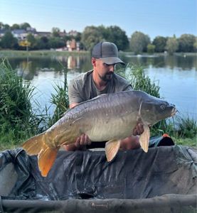 Mirror Carp