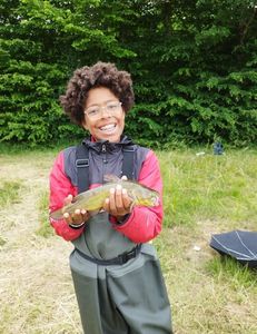 Sharptooth Catfish