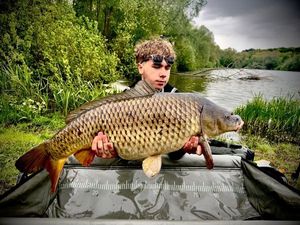 Common Carp