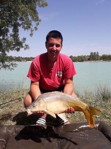 Mirror Carp