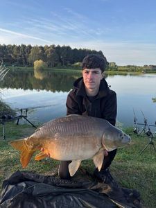 Mirror Carp