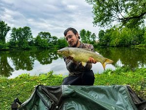 Grass Carp