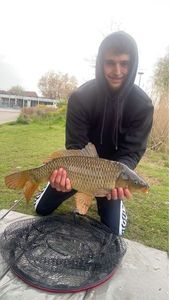 Mirror Carp