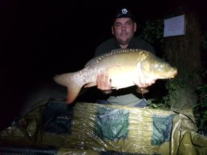 Mirror Carp