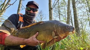 Mirror Carp