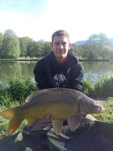 Mirror Carp