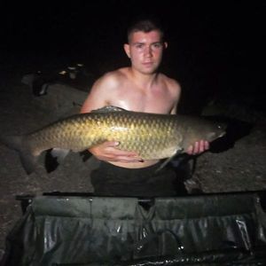 Grass Carp