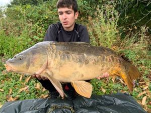 Mirror Carp