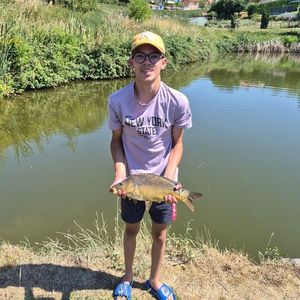 Mirror Carp