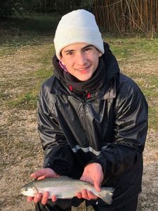 Rainbow Trout